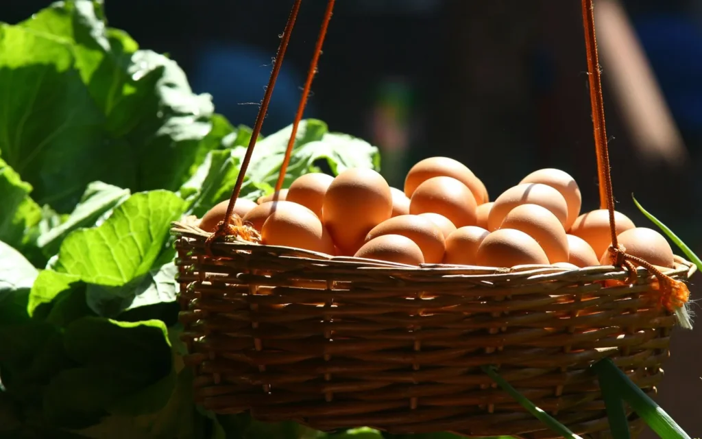 Cesta de huevos frescos