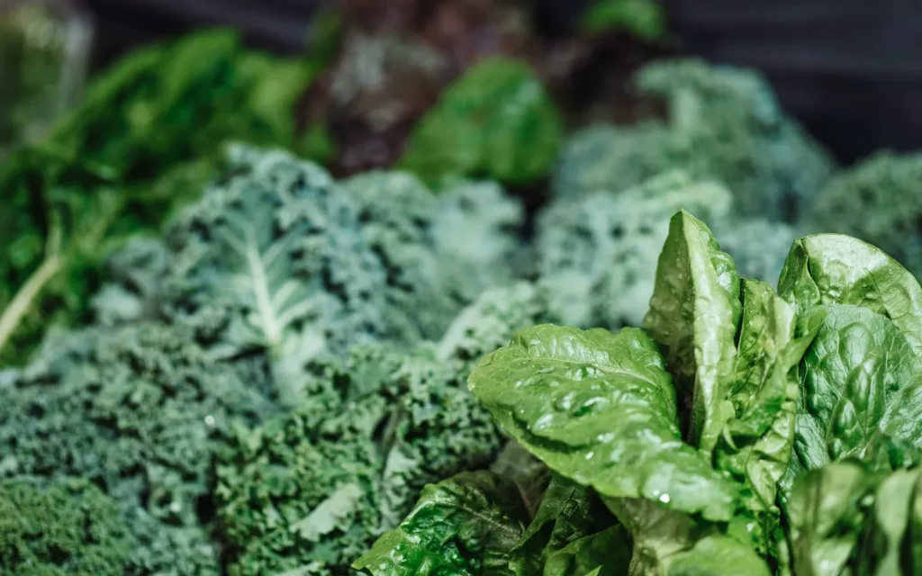 Verduras de hoja verde